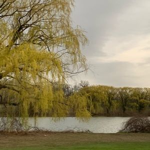 Meet your Posher, Elissa